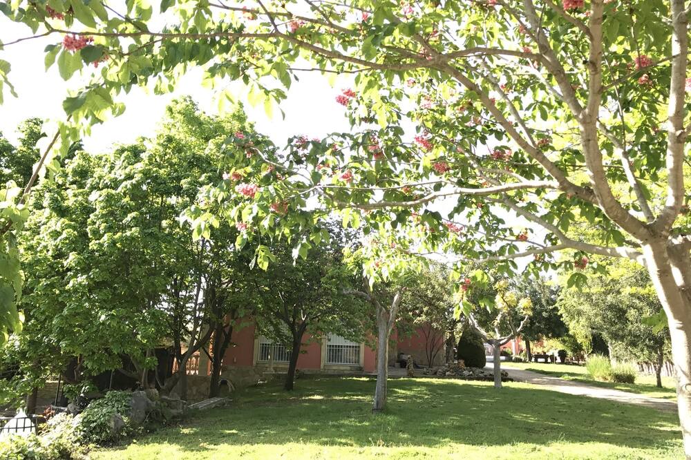 Photo of Outdoor in Polop