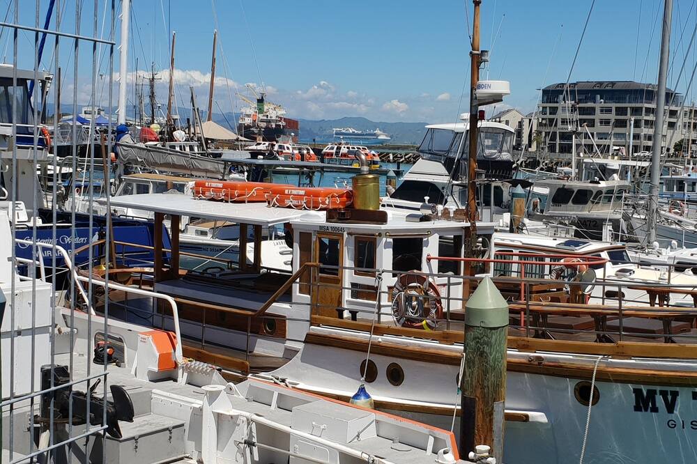 Photo of Others in Gisborne