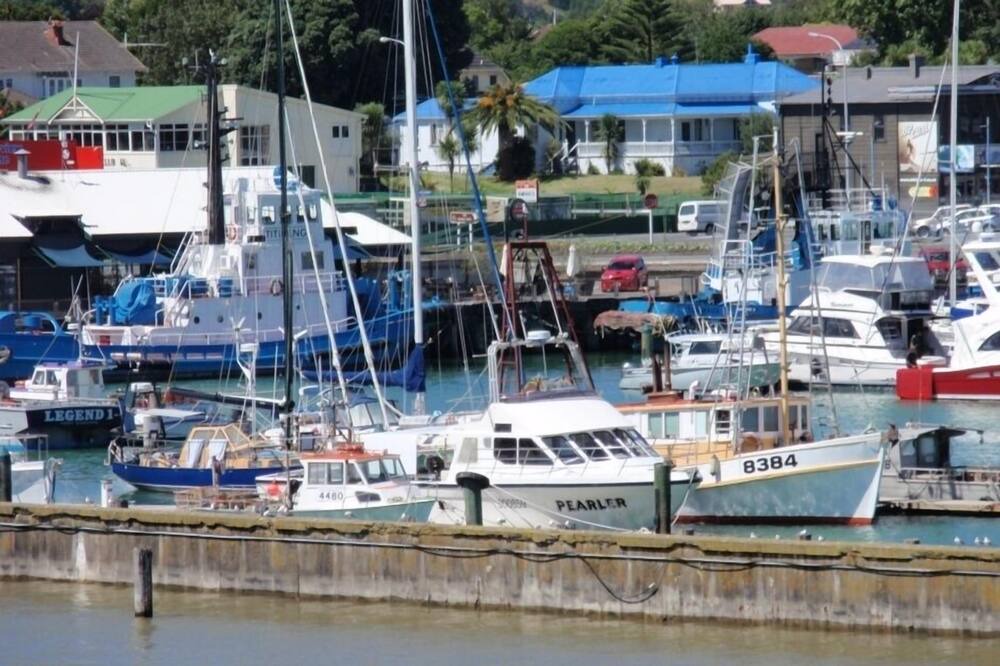 Photo of Others in Gisborne