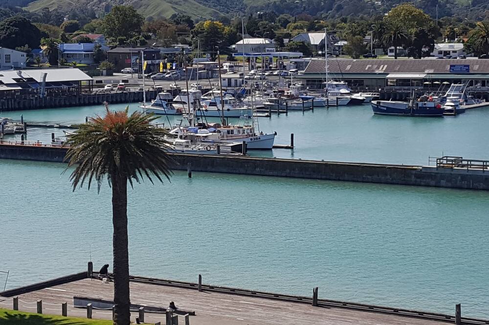 Photo of Others in Gisborne