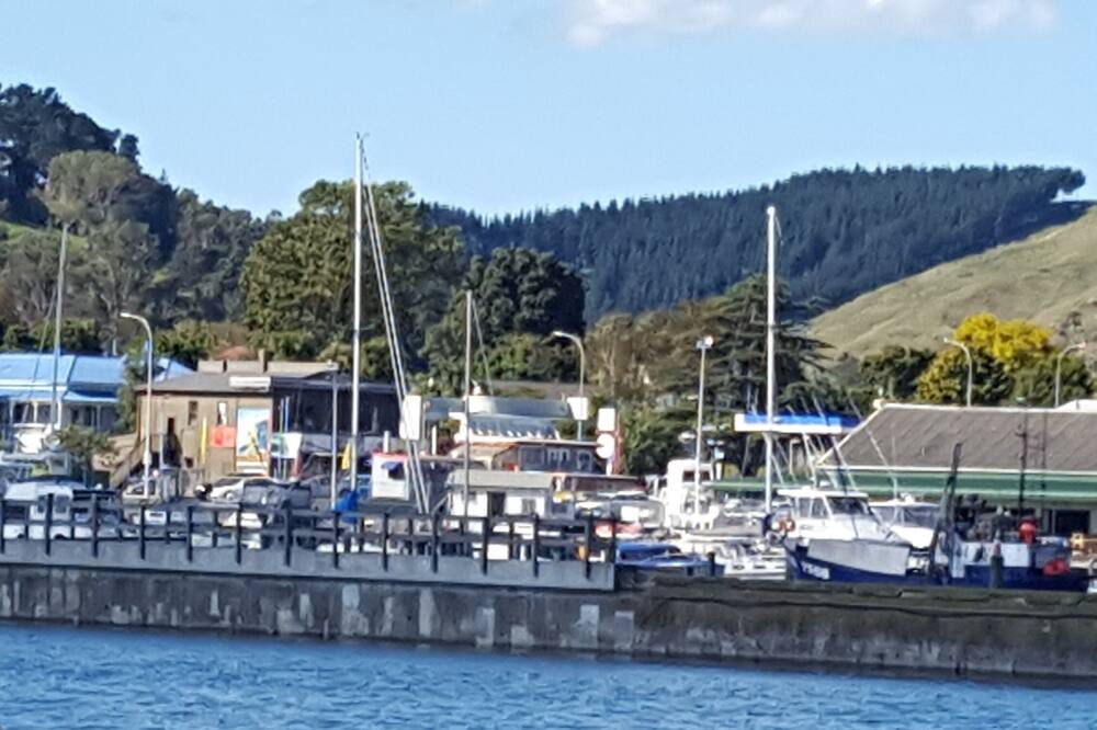 Photo of Others in Gisborne