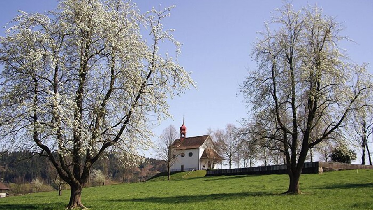 Photo of Outdoor in Alberswil