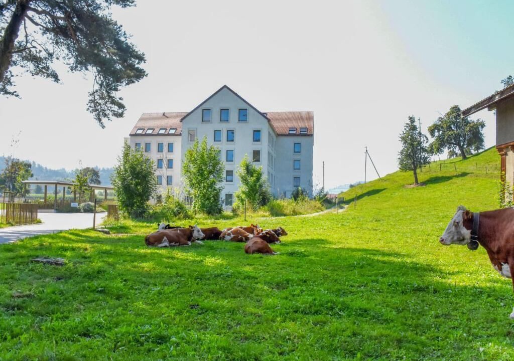 Photo of Outdoor in Alberswil