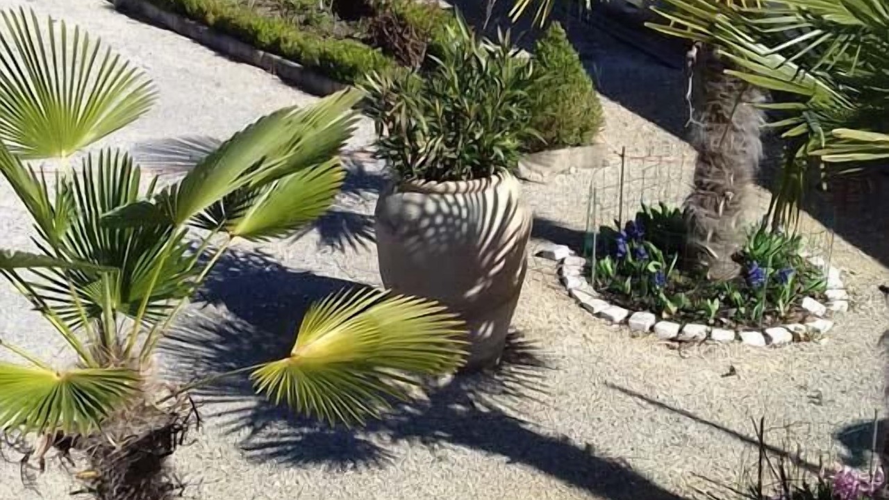 Photo of Outdoor in Lussas-et-Nontronneau