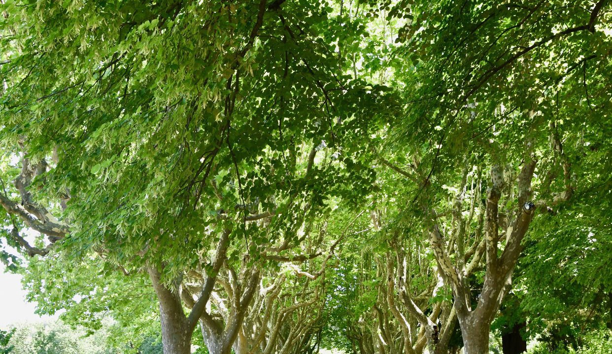 Photo of Outdoor in Gardanne