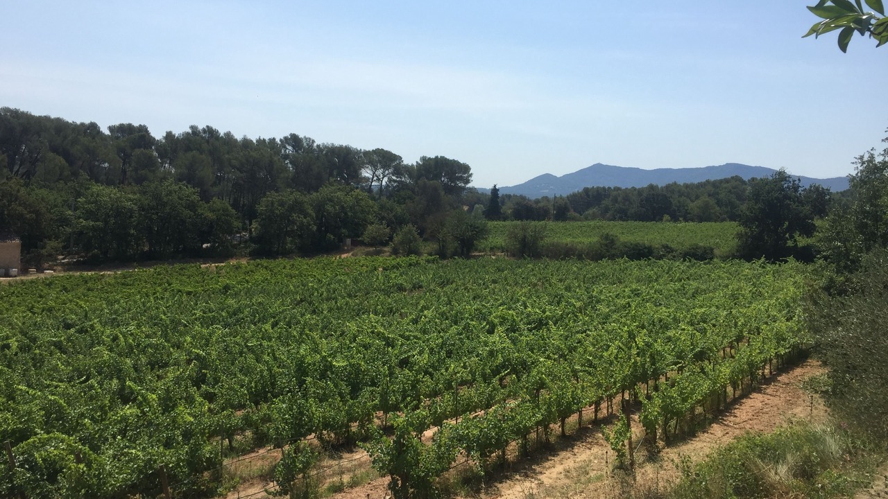 Photo of Outdoor in Gardanne
