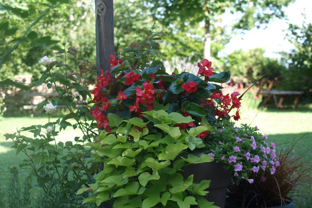 Photo of Outdoor in Gracionepel