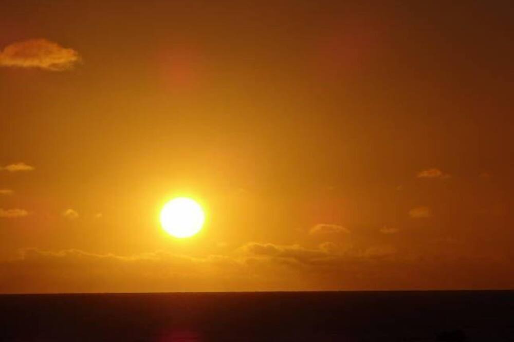 Photo of Others in Moana