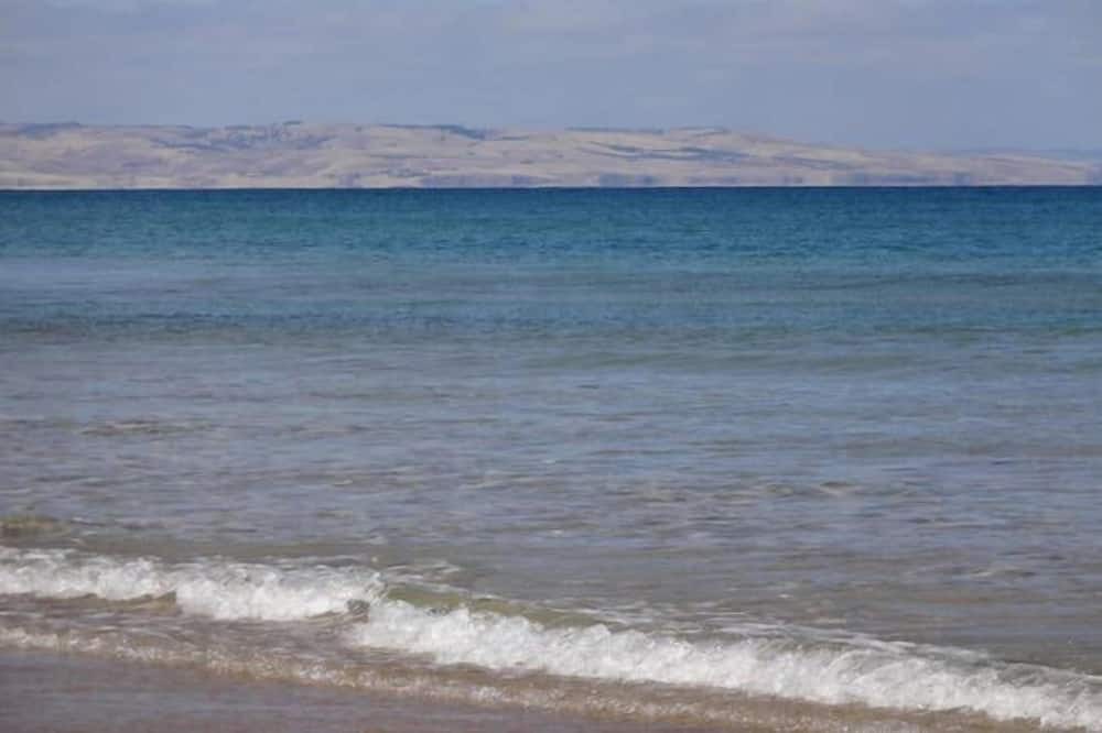 Photo of Others in Moana