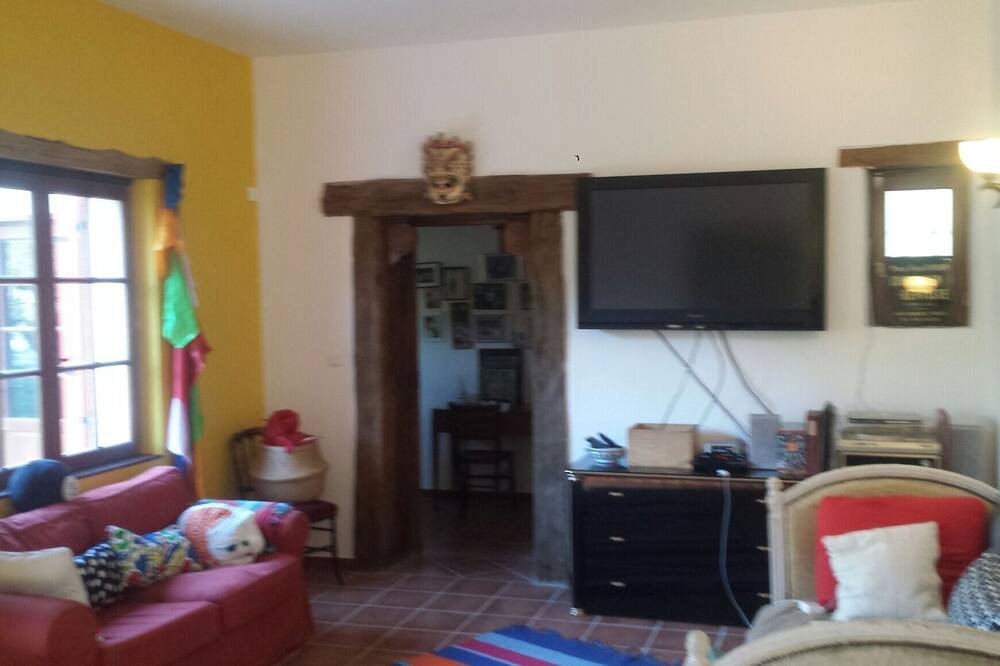 Photo of Livingroom in Fargues-sur-Ourbise