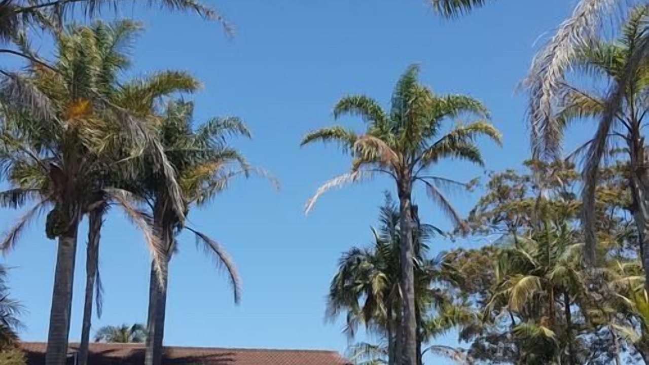 Photo of Others in Lake Tabourie