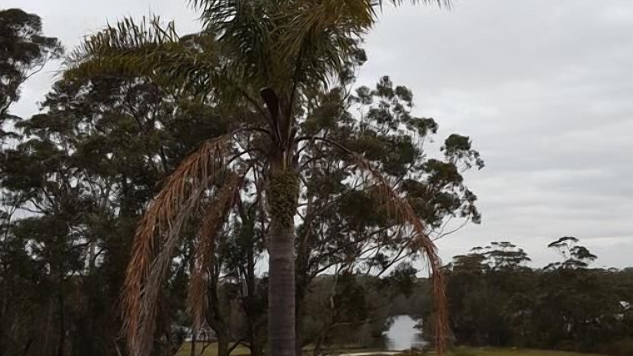 Photo of Others in Lake Tabourie