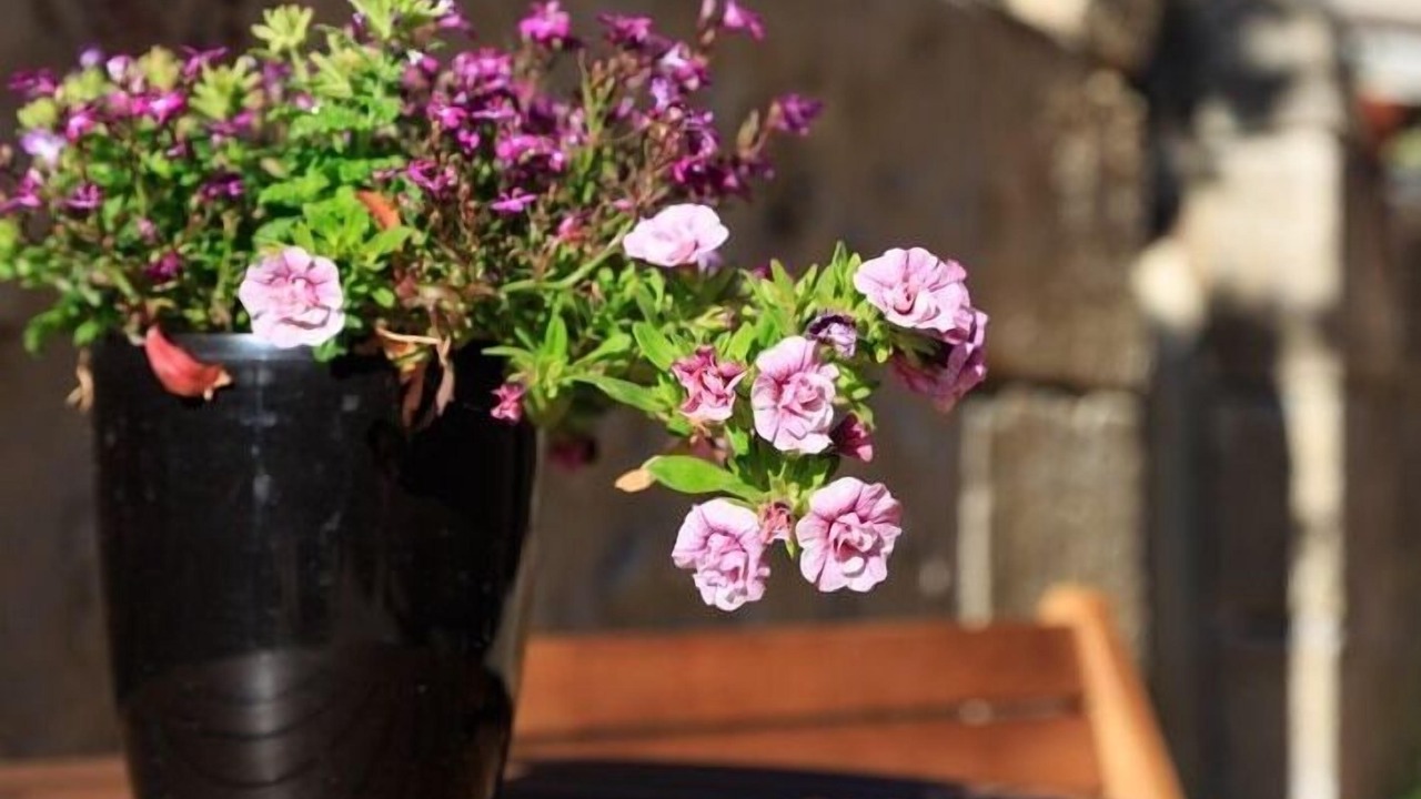 Photo of Outdoor in Pauillac