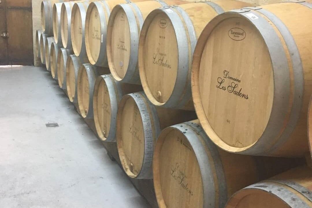 Photo of Outdoor in Pauillac