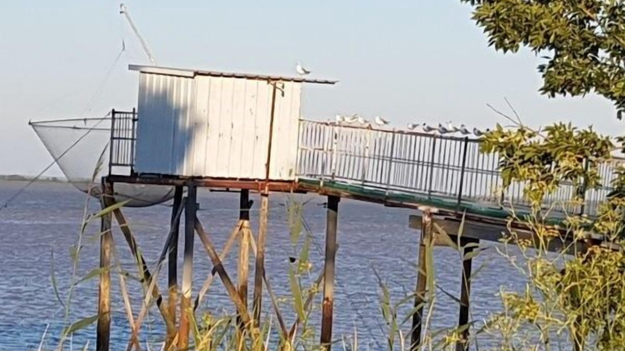 Photo of Others in Pauillac