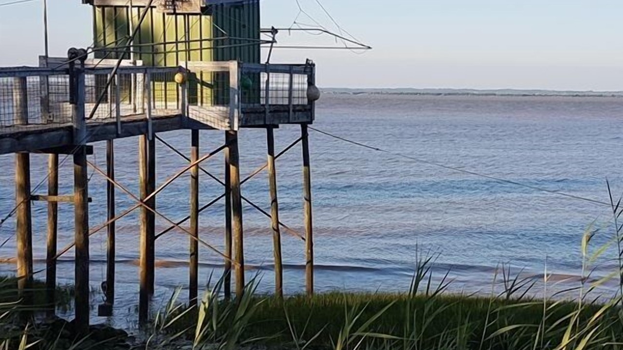 Photo of Others in Pauillac