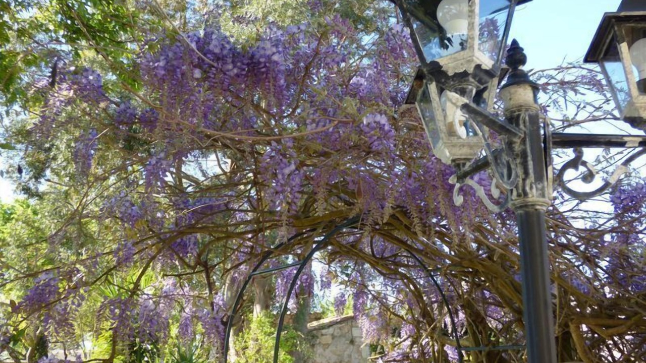 Photo of Outdoor in Pauillac