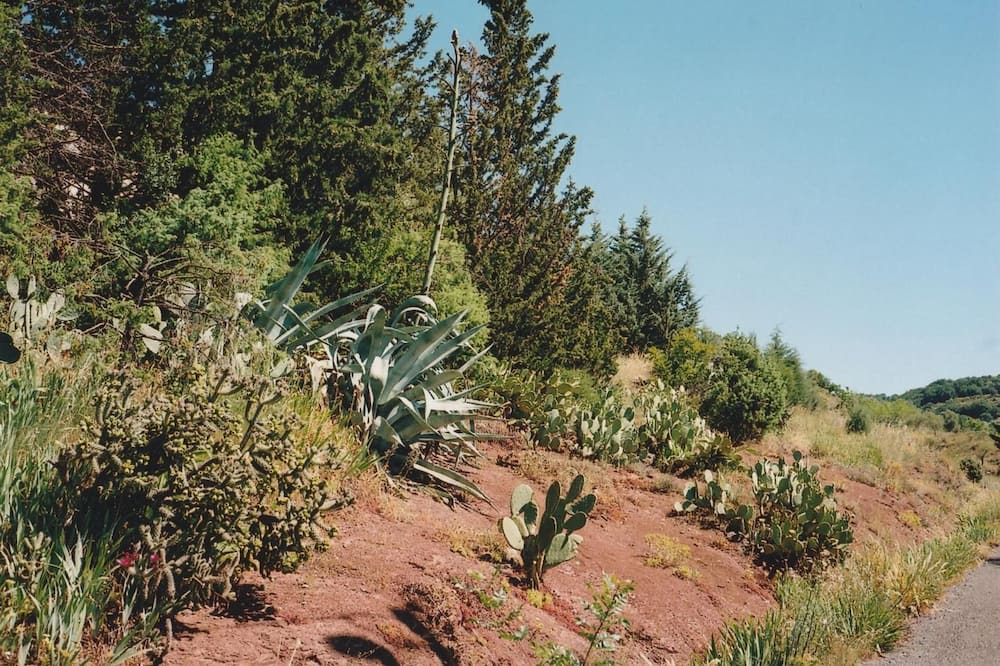 Photo of Outdoor in Octon