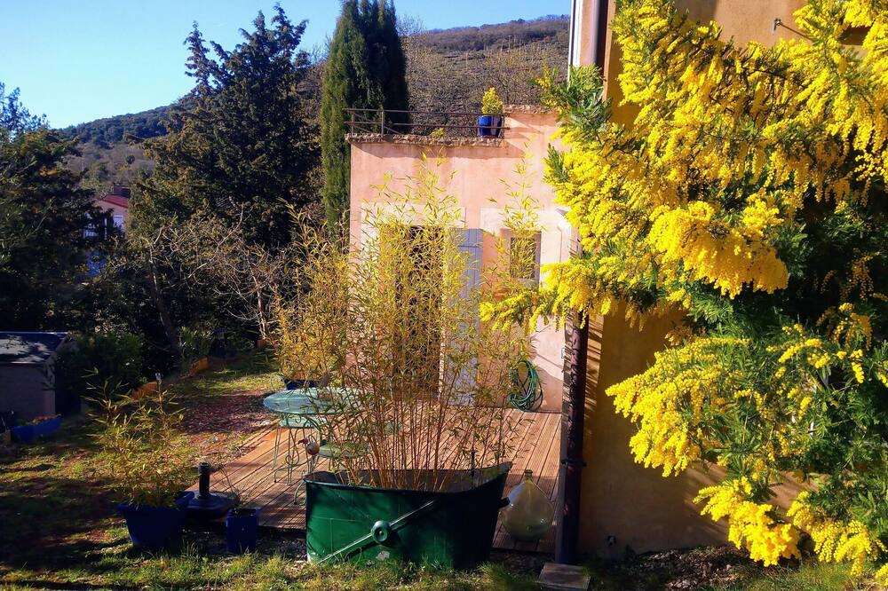 Photo of Outdoor in Octon