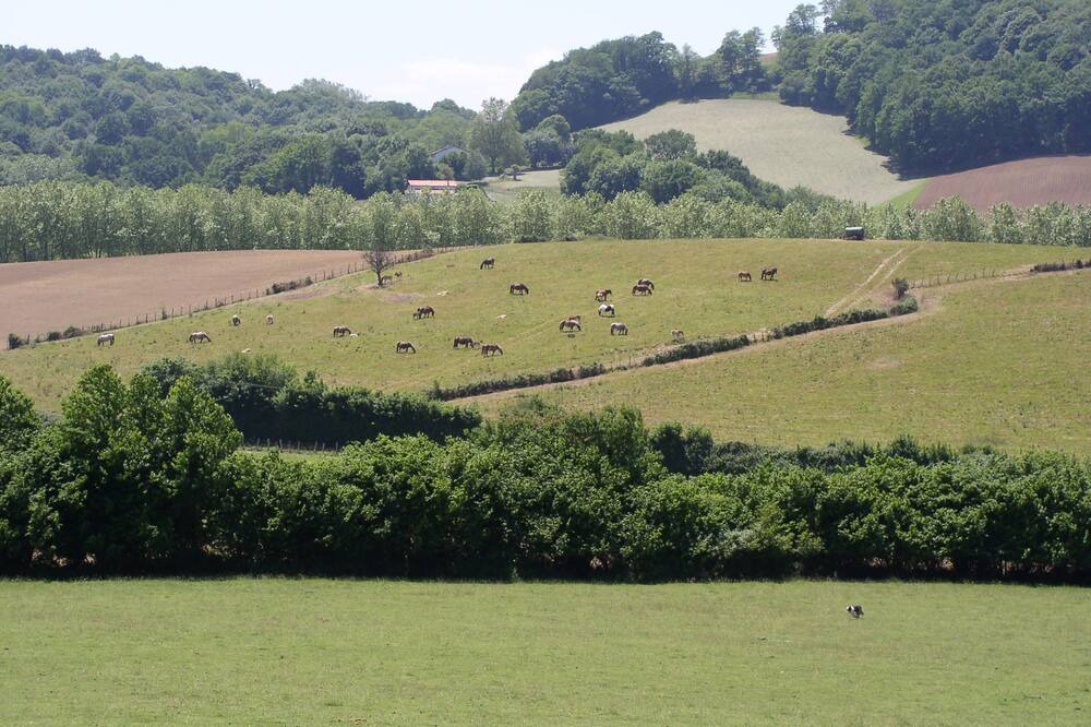 Photo of Outdoor in Hasparren