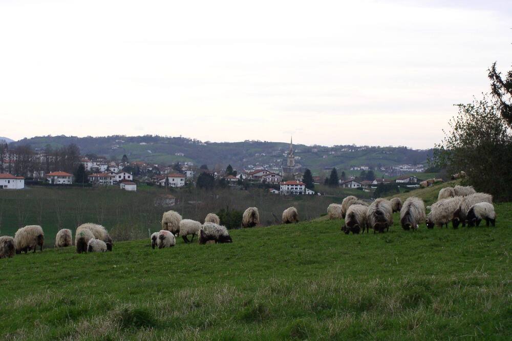 Photo of Outdoor in Hasparren