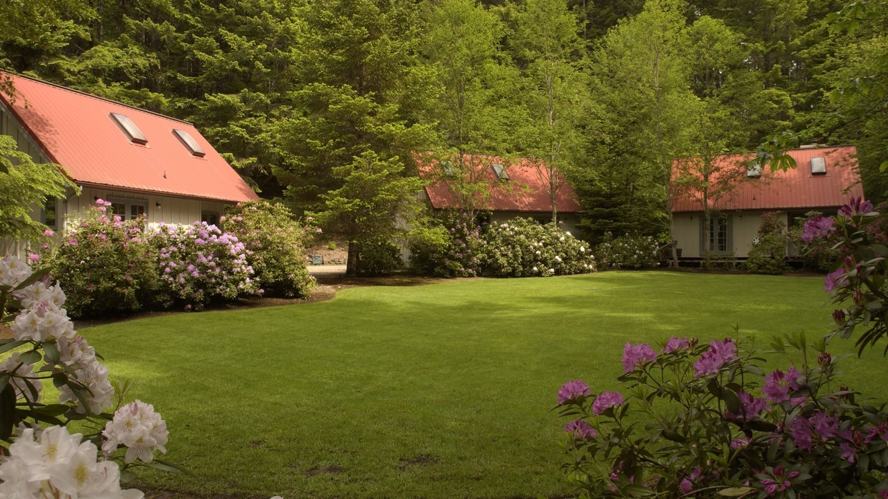 Photo of Outdoor in Idleyld Park