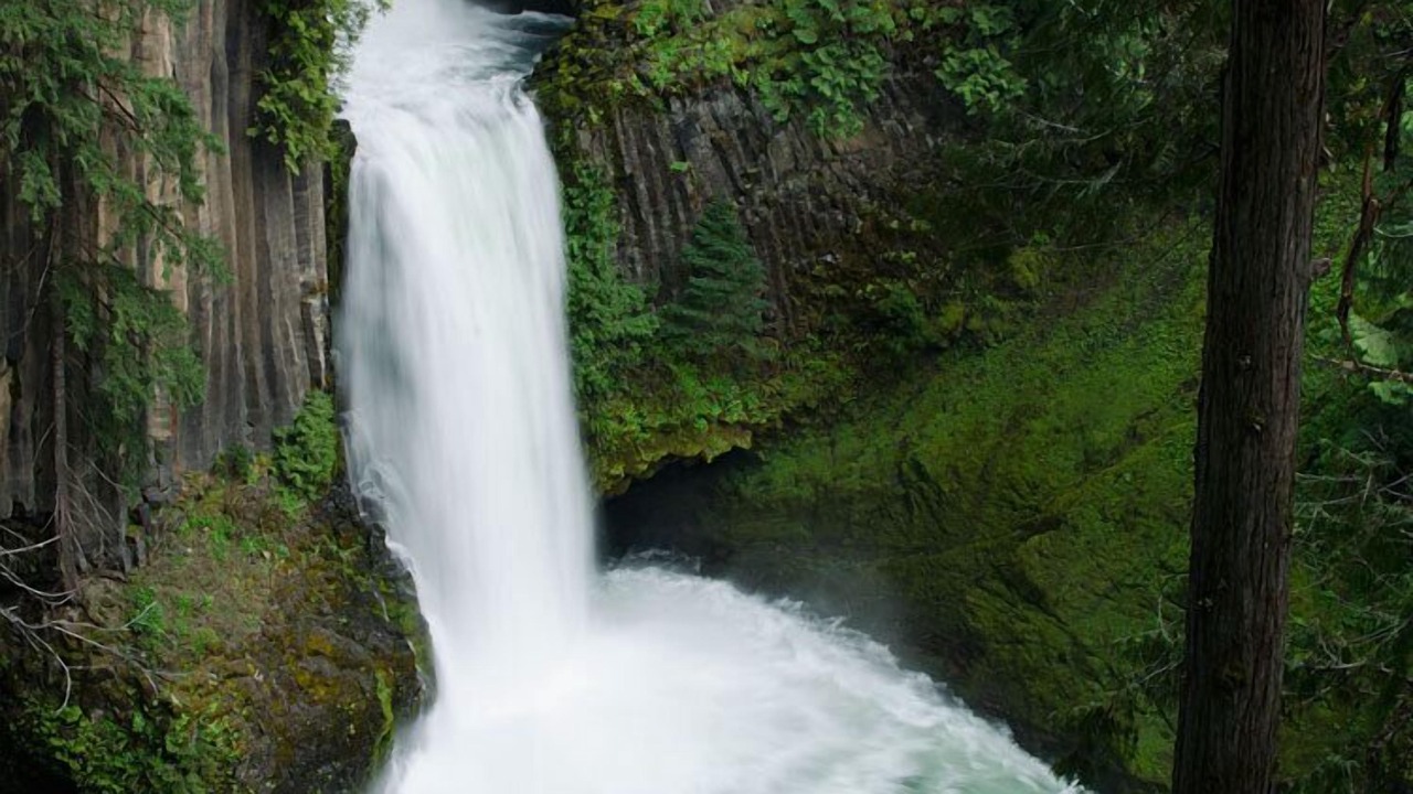 Photo of Others in Idleyld Park