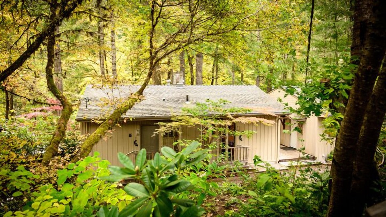 Photo of Outdoor in Idleyld Park