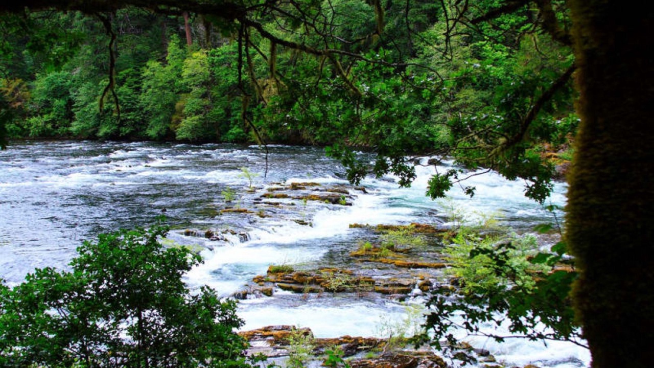 Photo of Outdoor in Idleyld Park