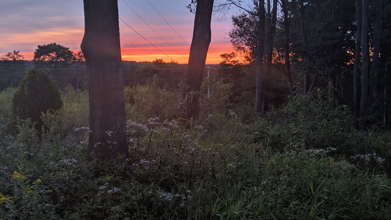 Photo of Outdoor in Brookville