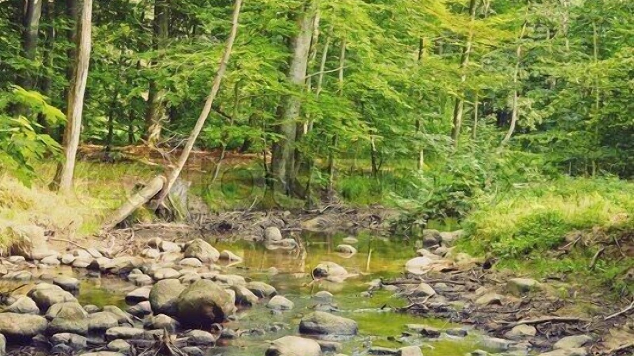 Photo of Outdoor in Højbjerg