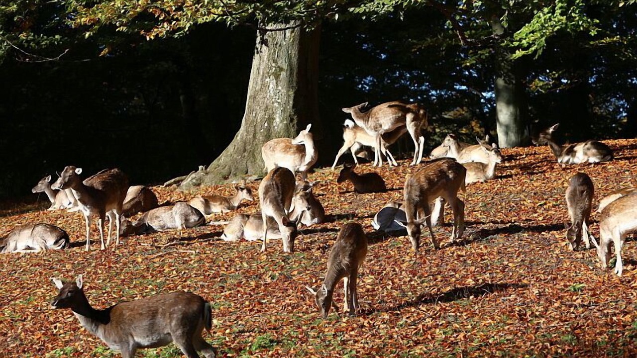 Photo of Outdoor in Højbjerg