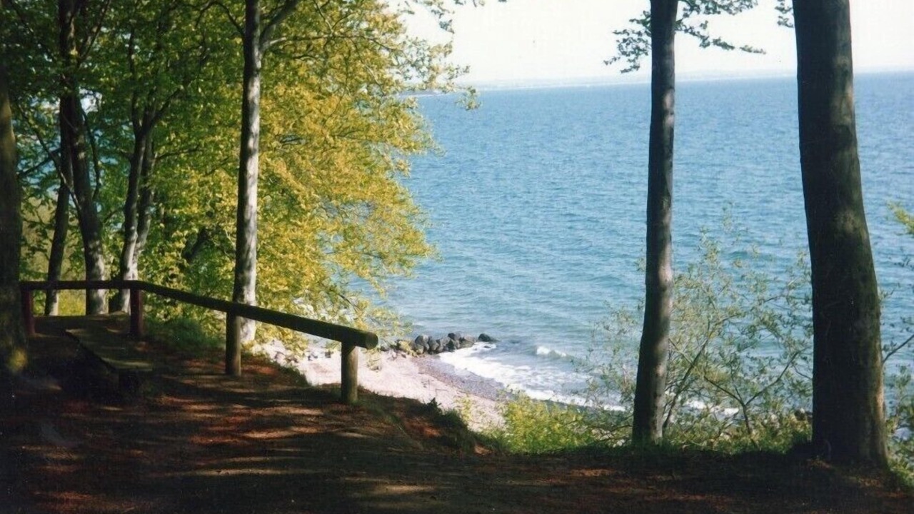 Photo of Outdoor in Højbjerg