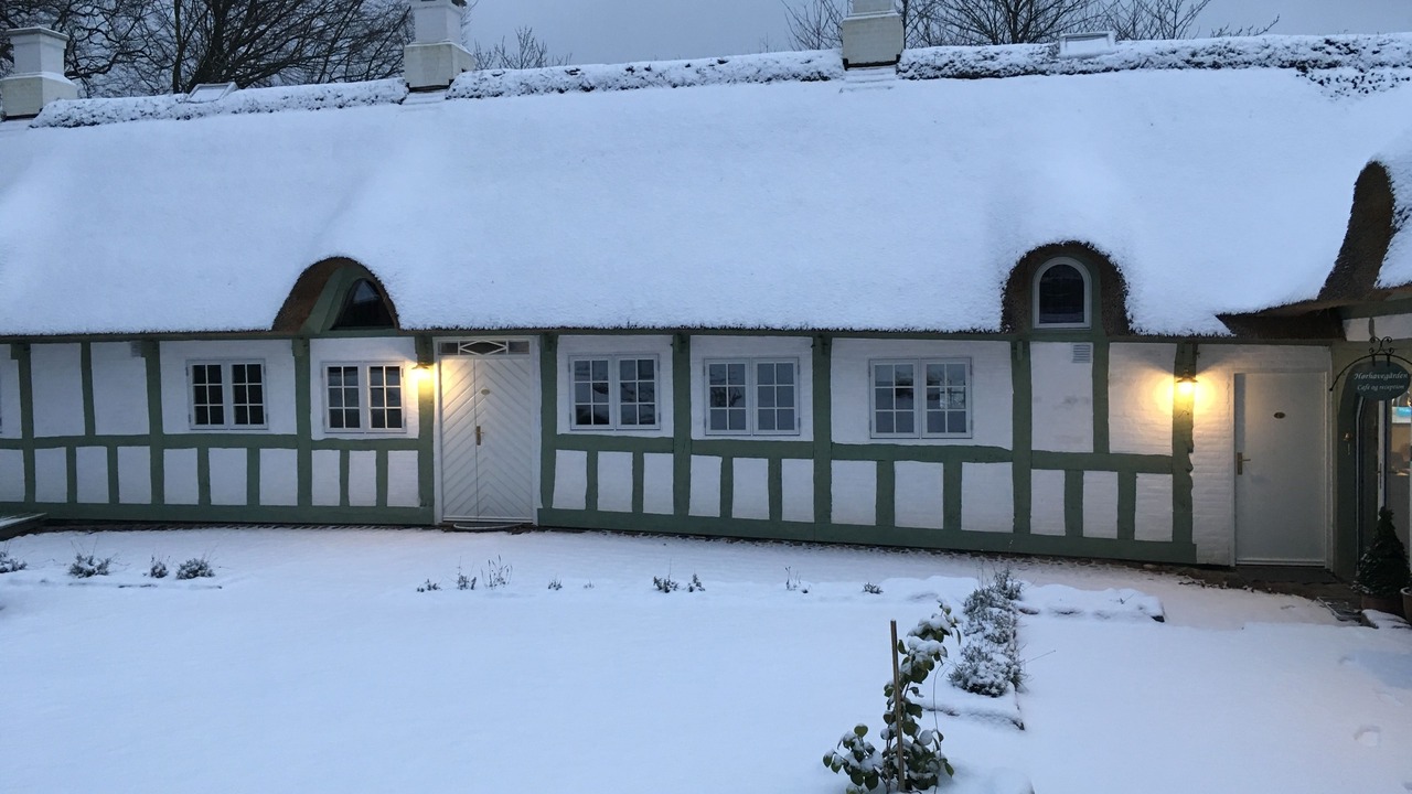 Photo of Outdoor in Højbjerg