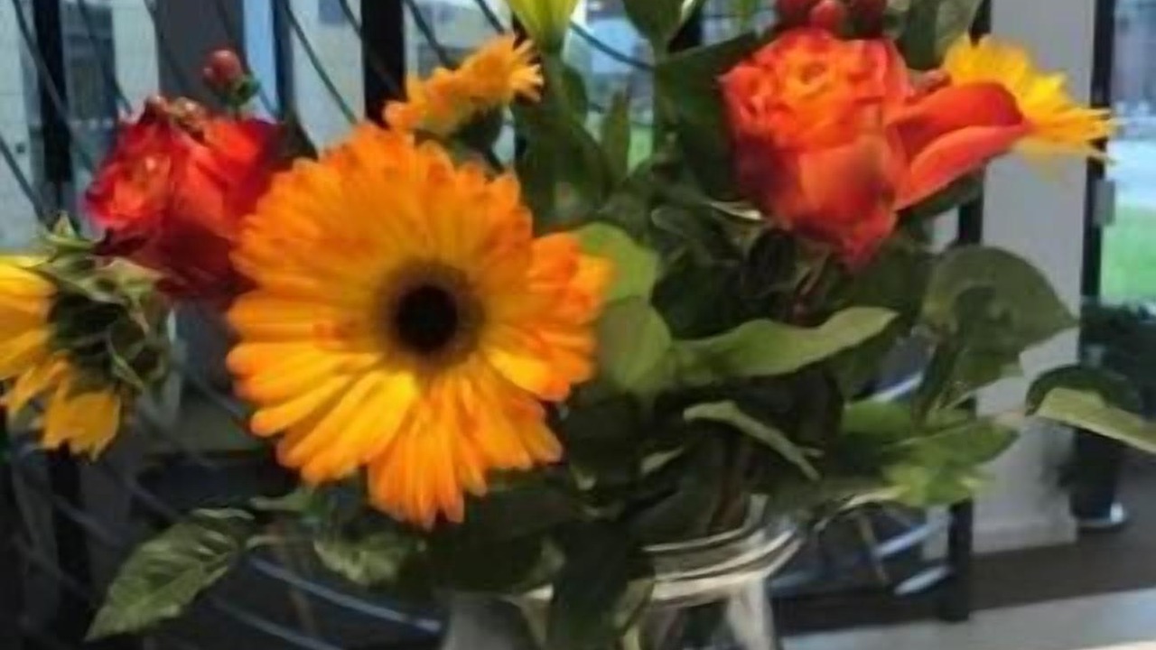 Photo of Others in Northampton