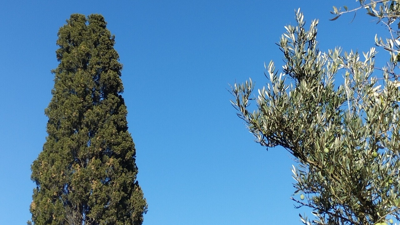 Photo of Outdoor in Saint-Genies-de-Malgoires