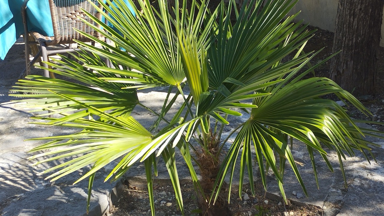 Photo of Outdoor in Saint-Genies-de-Malgoires