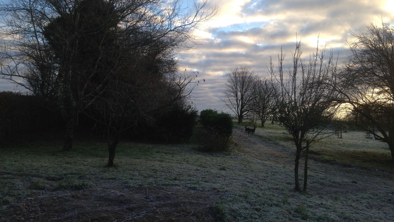 Photo of Others in Ermington