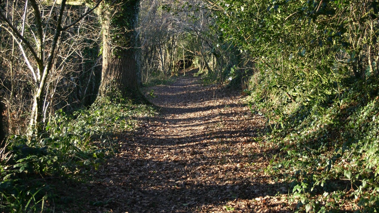 Photo of Others in Ermington