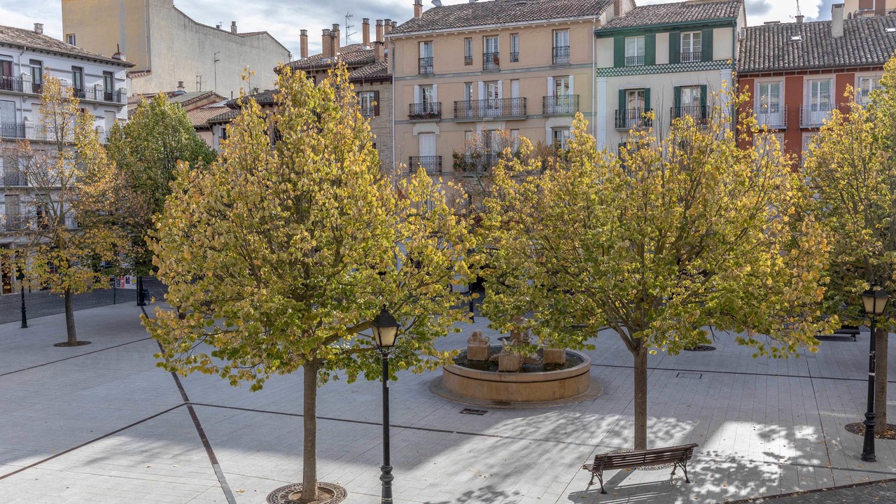 Photo of Outdoor in Estella