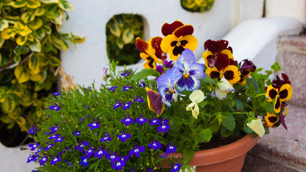 Photo of Others in Southport