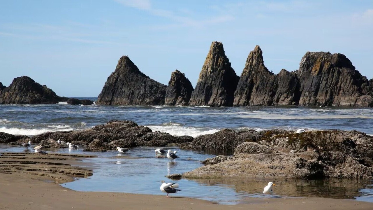 Photo of Others in Newport