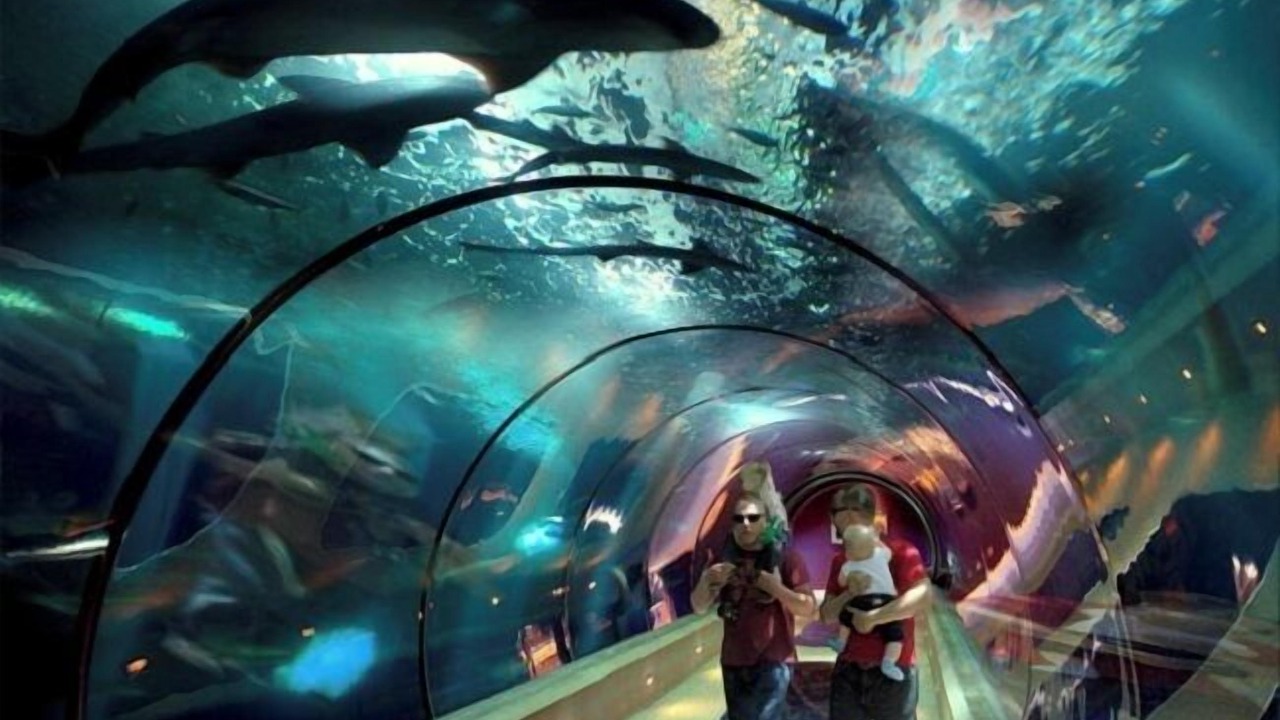 Photo of Others in Newport