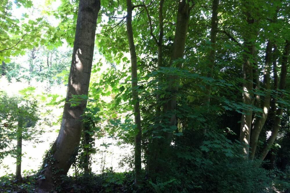 Photo of Outdoor in Le Celle-Saint-Cloud