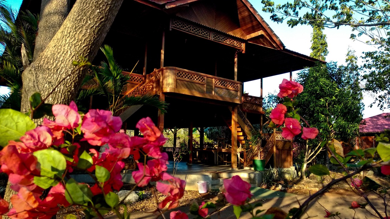 Photo of Outdoor in Baubau