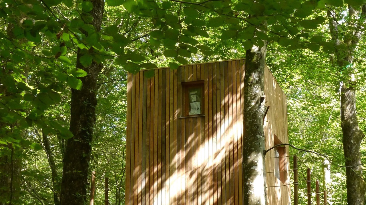 Photo of Outdoor in Mont-sous-Vaudrey