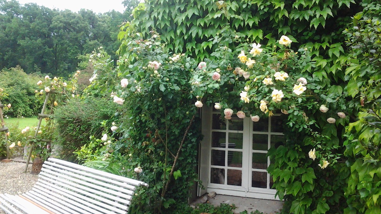 Photo of Outdoor in Vitry-aux-Loges