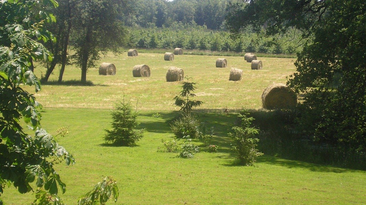 Photo of Outdoor in Vitry-aux-Loges