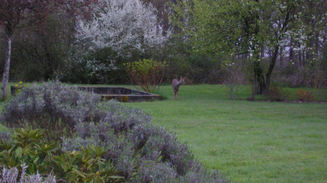 Photo of Outdoor in Vitry-aux-Loges