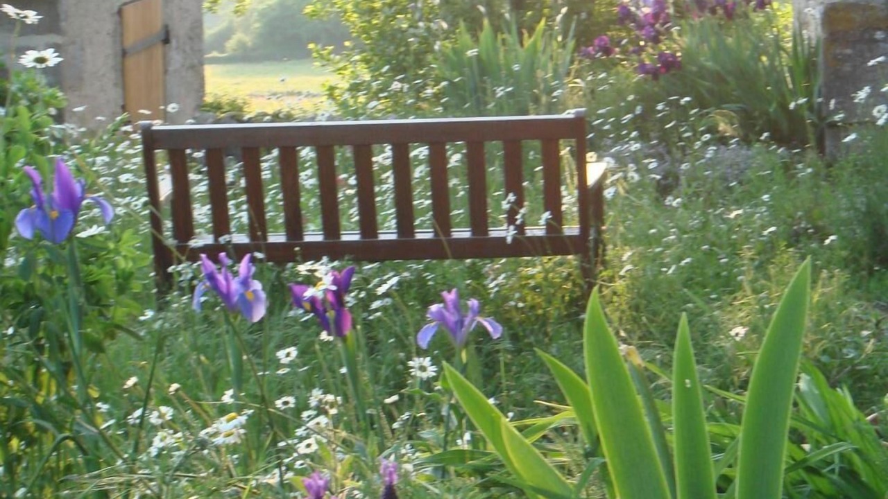 Photo of Outdoor in Marcilly-la-Gueurce